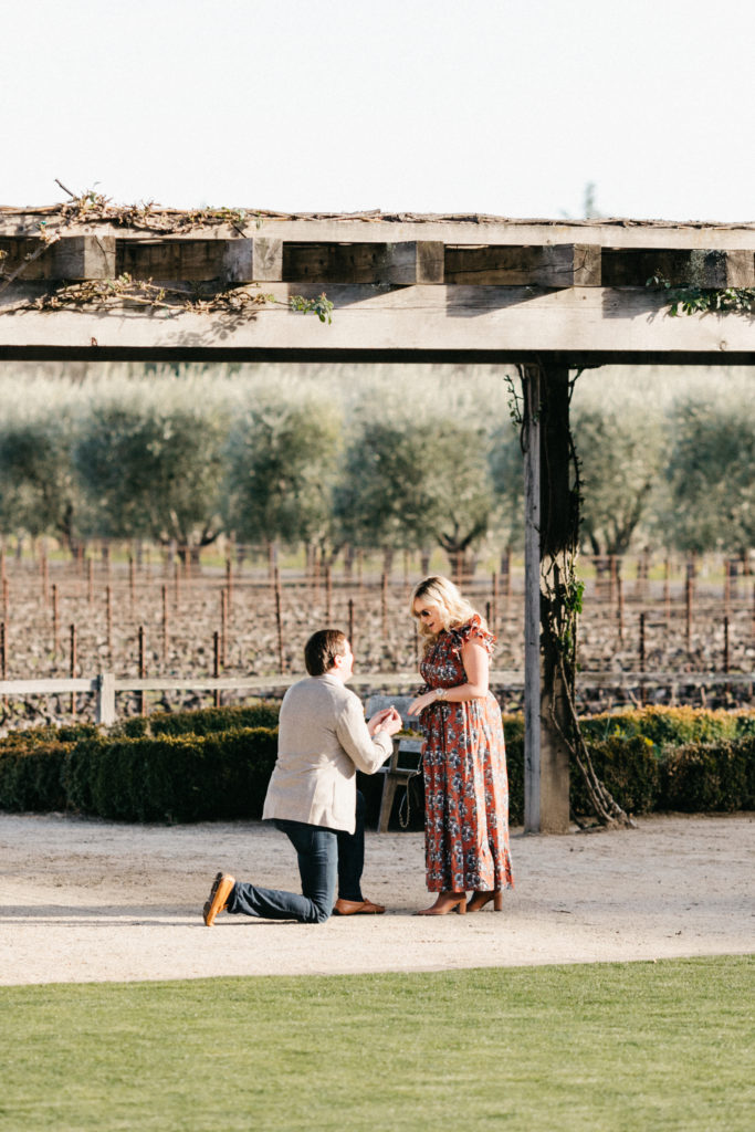 couple get engaged at the napa valley reserve with surprise proposal